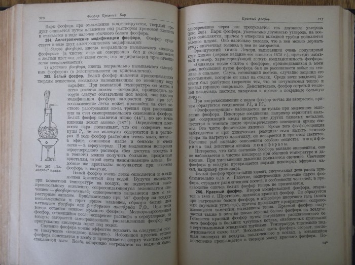 DSCF5376.JPG