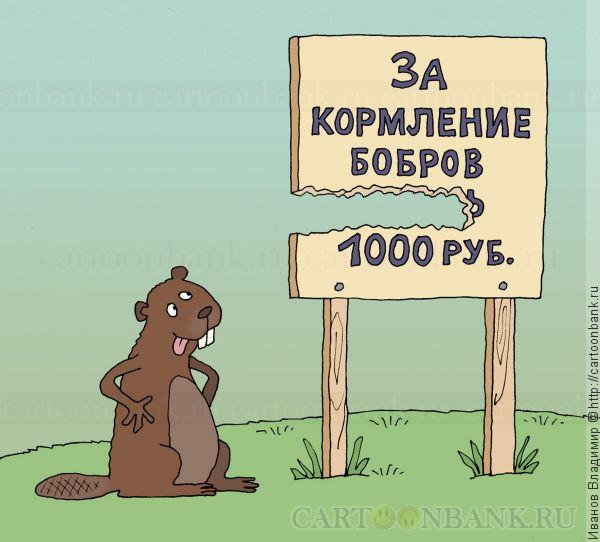 CmD2e_PWAAEDQaS[1].jpg