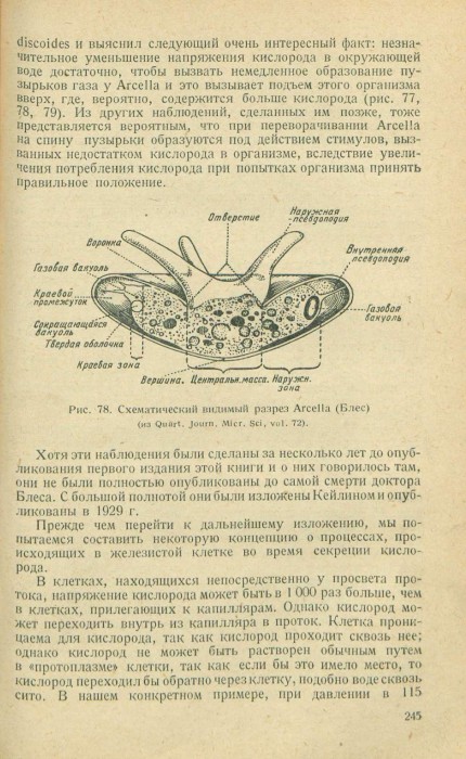 Холден Дж.С., Пристли Дж.Г. Дыхание. 1937_251.jpg