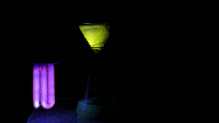 Chelidonium_ultraviolet_light-luminescence-33[1].jpg