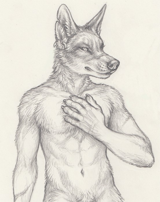 image(19).jpg