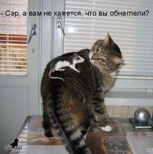 CowoWR5W8AAmvlJ[1].jpg