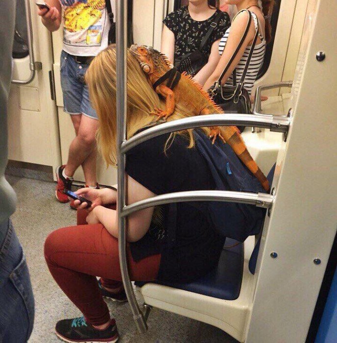 CpbdkSYXEAAX0xp[1].jpg