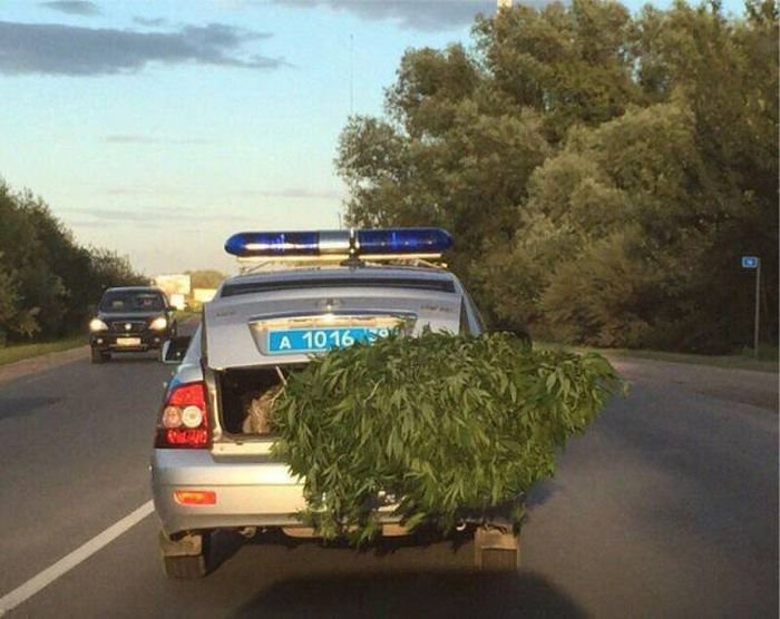 fotopodborka_chetverga_115_foto_42[1].jpg