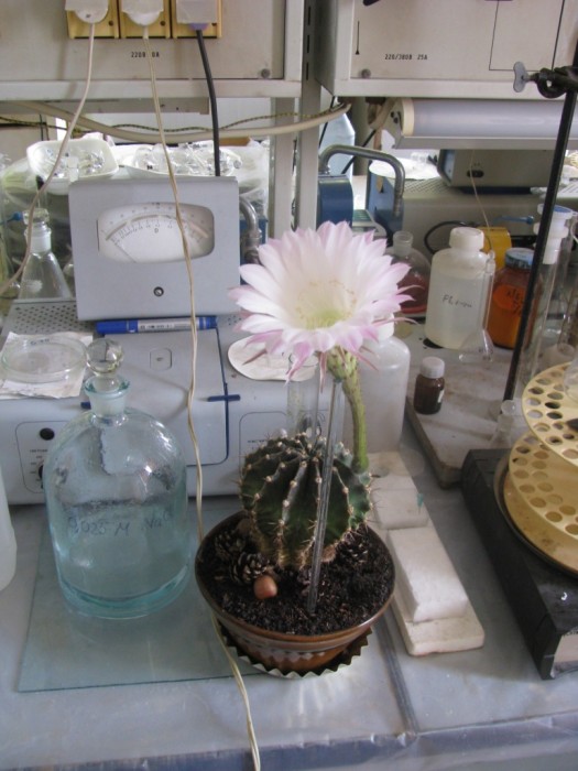 Laboratory_4-1[1].JPG