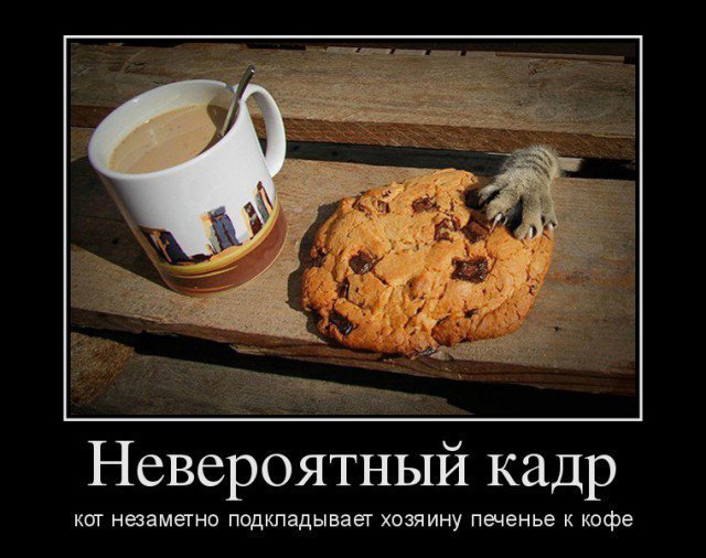 CuJqlxpUkAEYJ-T[1].jpg