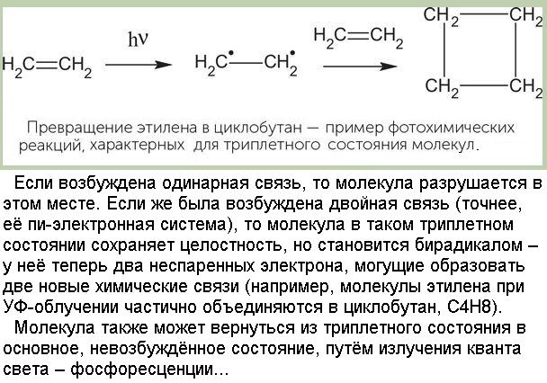 Фотохімія_на_прикладі_циклобутану.jpg