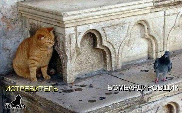 CvE6g2eWAAAMg1W[1].jpg