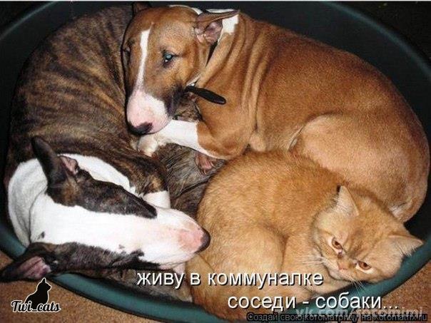 CvoQVQbWgAAcHXl[1].jpg