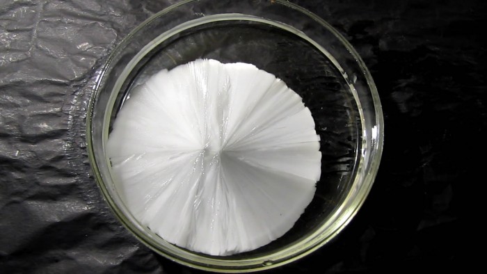 Crystallization_of_supersaturated_solution_of_sodium_acetate-115[1].jpg