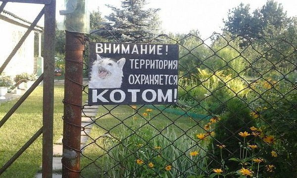 CwKIMFHW8AAgmef[1].jpg