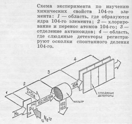 ris020[1].jpg