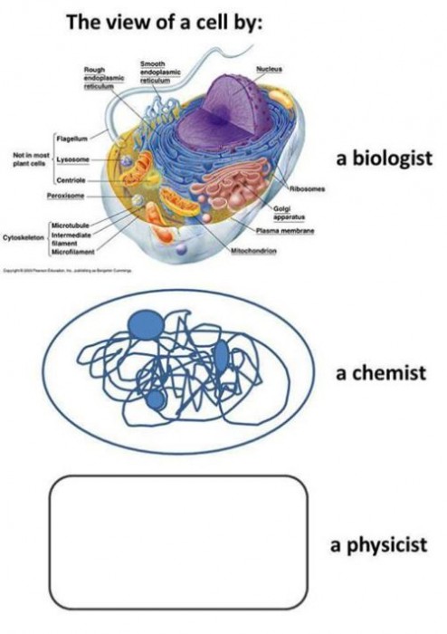 CyTuSGRXgAANqlH[1].jpg