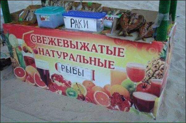 1_3.JPG