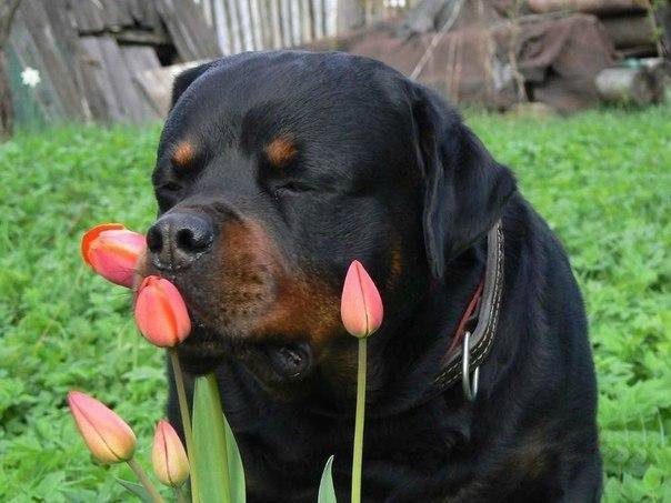 CzsUZvWXEAAYh5_[1].jpg