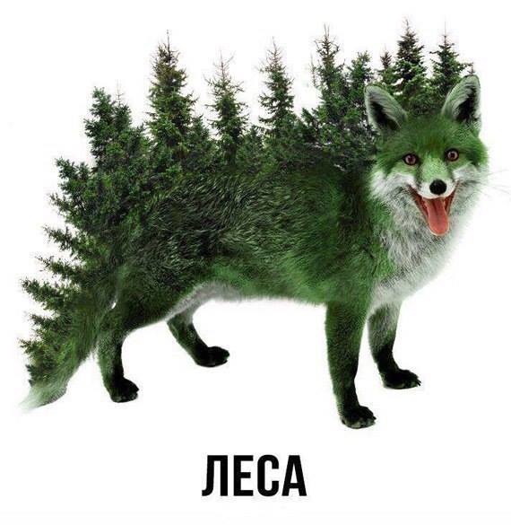 C0B8IEjXgAEPf-m[1].jpg