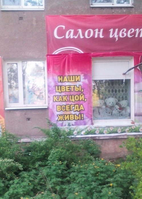 Цой-жив-маркетинг-3561680.jpeg