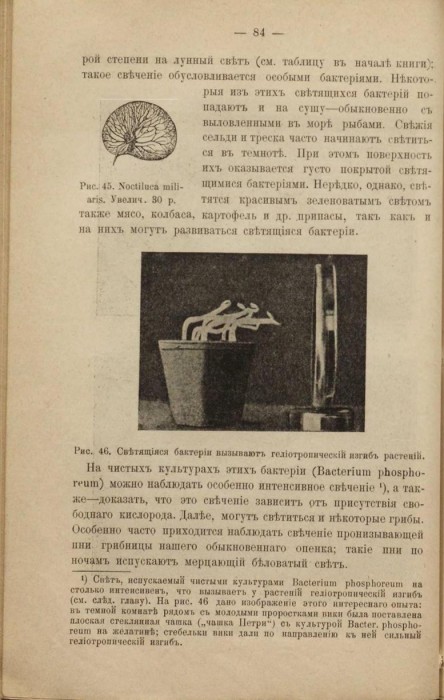 Миэ Жизнь и ее проявления 1912.jpg