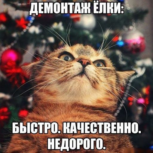 n4FKxCtuqTo.jpg