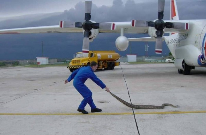 C3Rsm0LXUAAb7fx[1].jpg