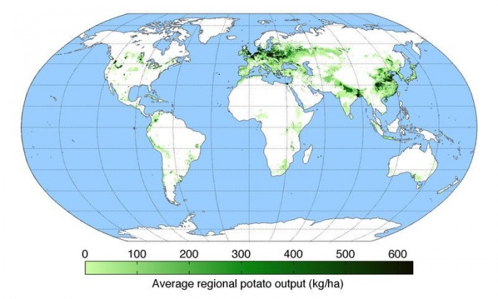 PotatoYield.jpg