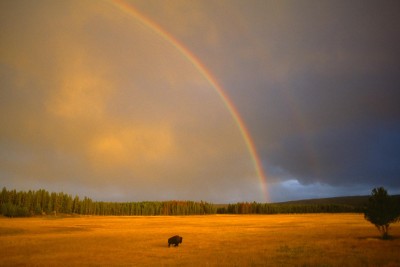 Rainbow-9.jpg