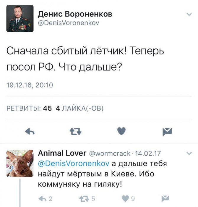 3740741.jpeg