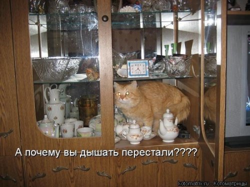 C8BvKiNXwAE-bJ2[1].jpg