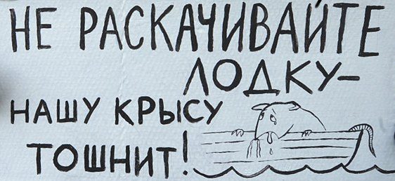 Крыса.jpg