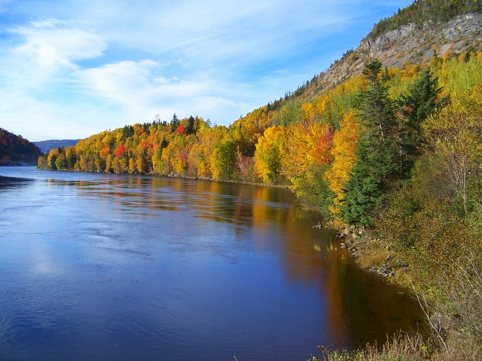 Nature's_Autumn_Palette_on_Newfoundland's_Humber_River_in_2007.jpg