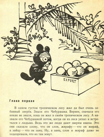 DCr8vteWAAAk2nw[1].jpg