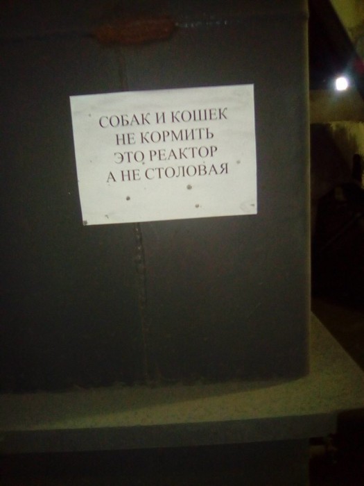 реактор-3909901.jpeg