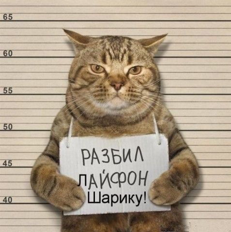 DCat32OU0AAW0FB[1].jpg