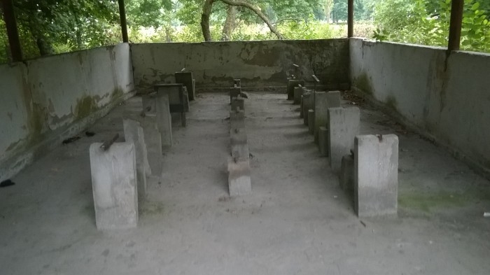 WP_20170807_014.jpg