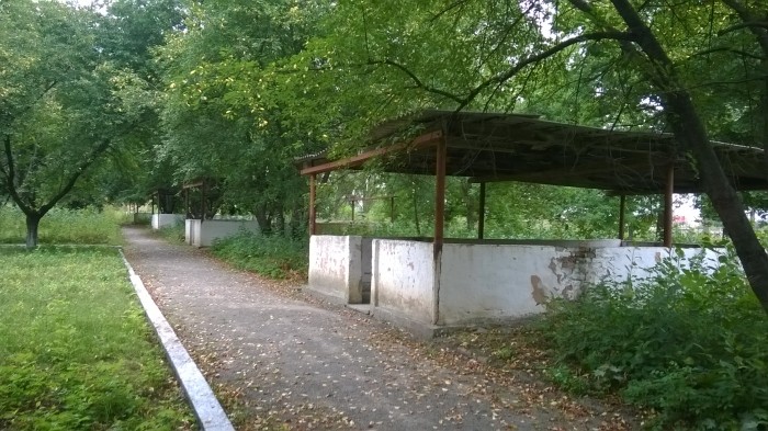 WP_20170807_015.jpg