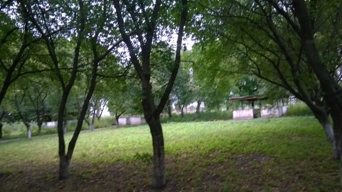 WP_20170807_017.jpg