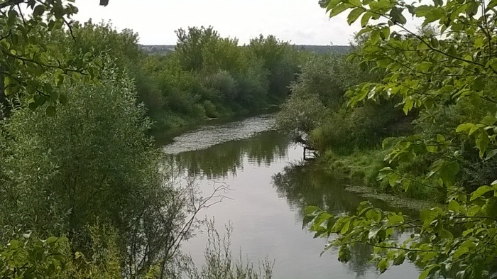 WP_20170822_064.jpg