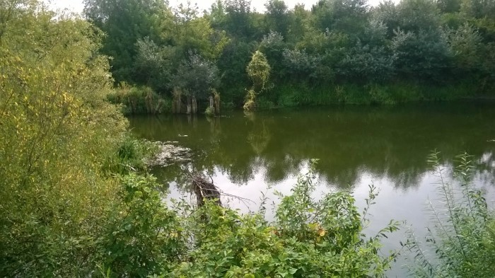 WP_20170822_044.jpg