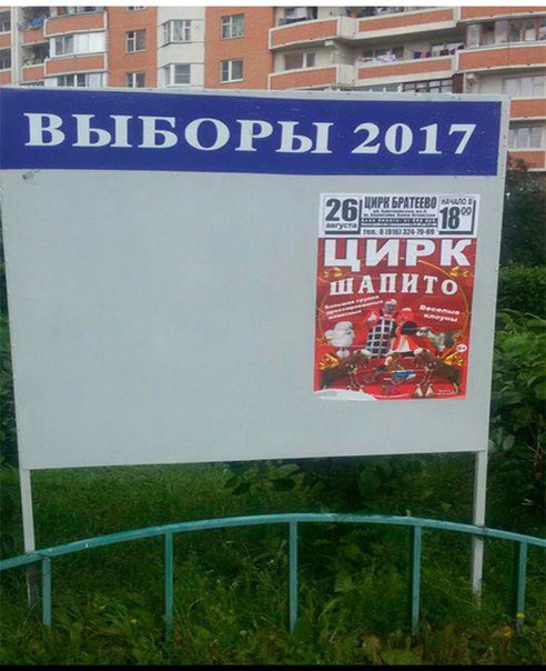выборы-политика-Цирк-4039968.jpeg