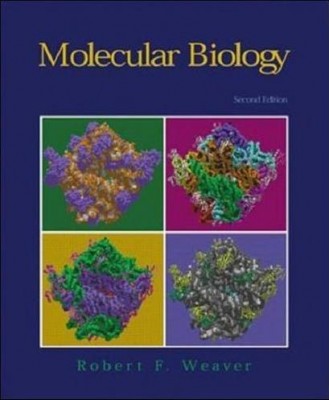 Molecular Biology by Robert Franklin Weaver.jpeg