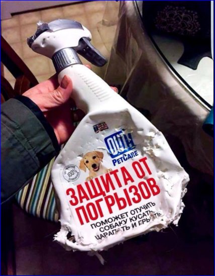 DMFzMX_WsAA5ZRa[1].jpg
