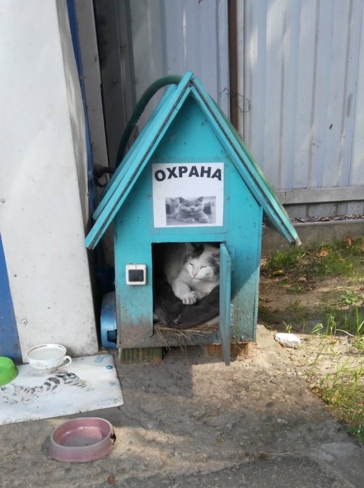 DNHdSItXUAAKbJU[1].jpg