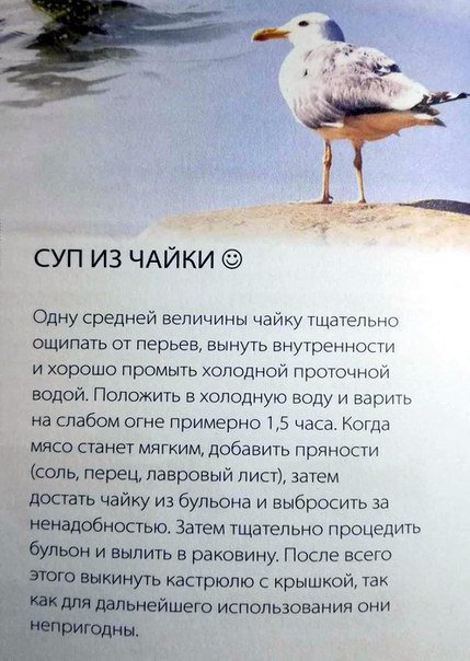DNikl7ZX0AAExCO.jpg large.jpg