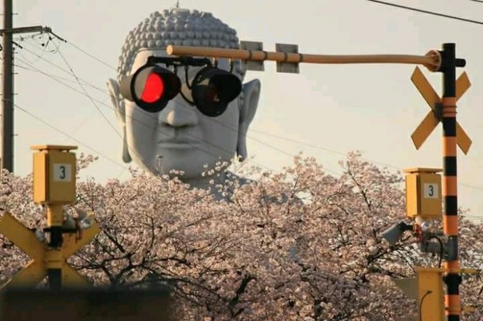DQrBlD2XkAAyCM4[1].jpg