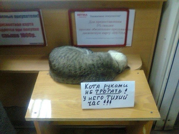 DRM1eZIWsAAUzaS[1].jpg