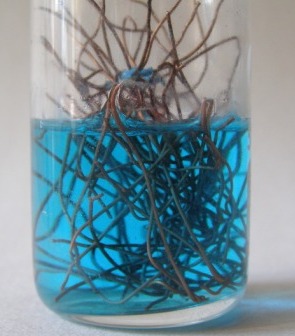 copper_dilute_sulfuric_acid-6[1].jpg