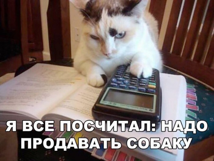 DSKXEUQX0AE5j7N[1].jpg