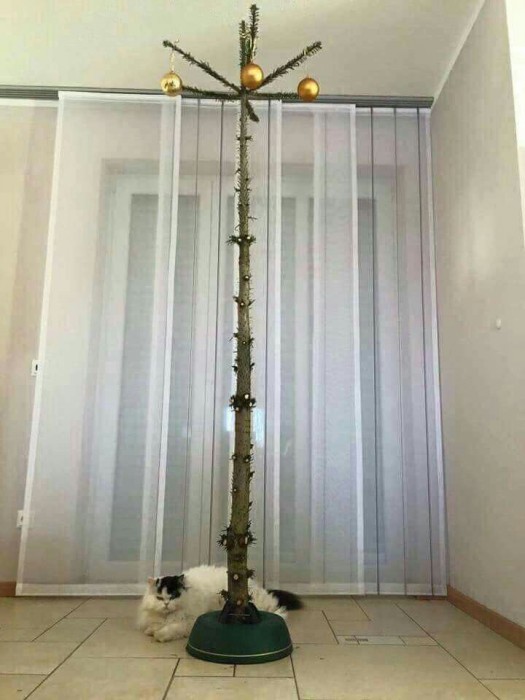 DSKKd5cX4AAxEv2[1].jpg