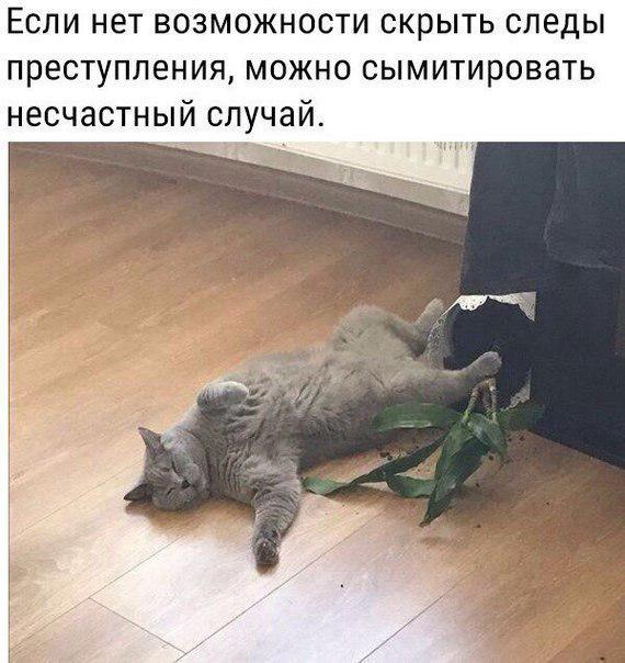 несчастный_случай.jpg