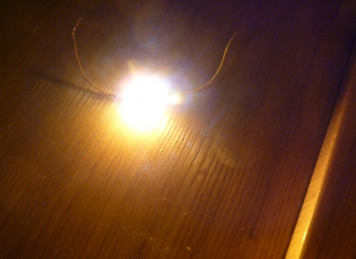 P1130219.JPG